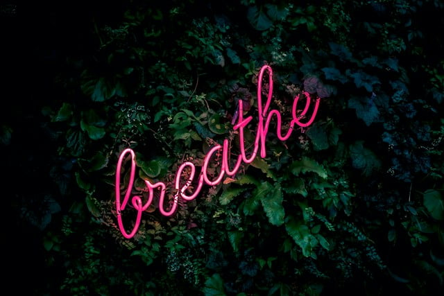 pranayama breathe